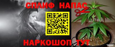 mdpv Будённовск