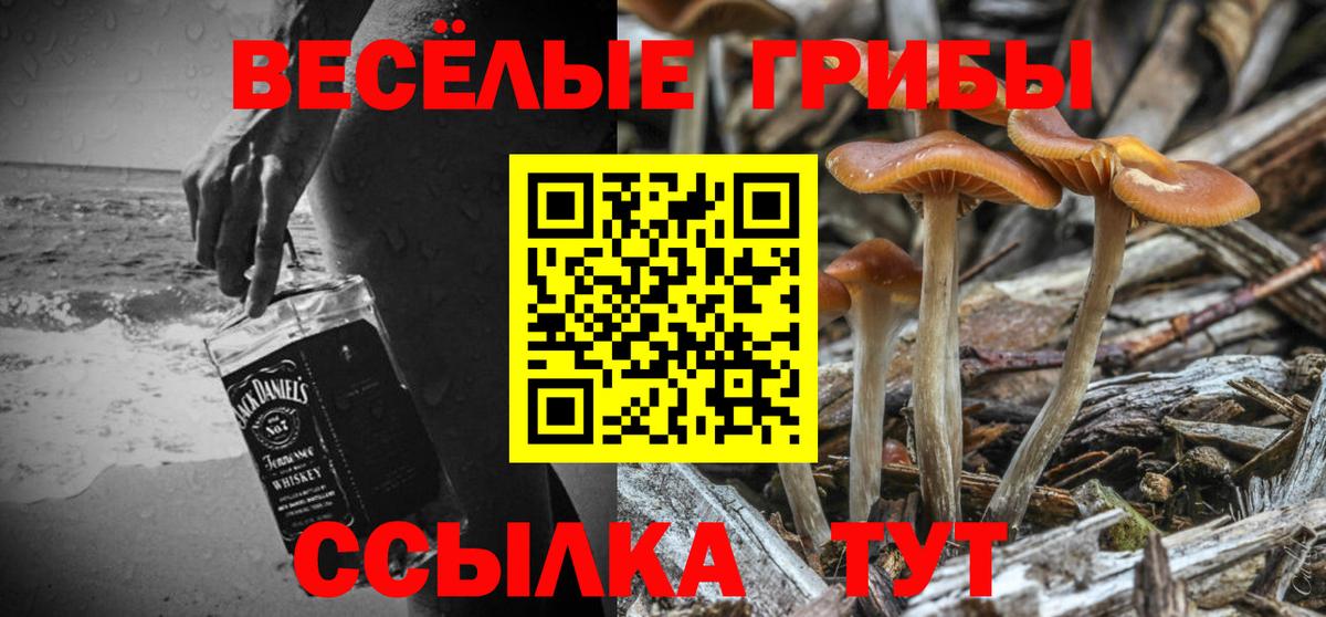 Коряжма  Галлюциногенные грибы ЛСД  Вход с VPN 