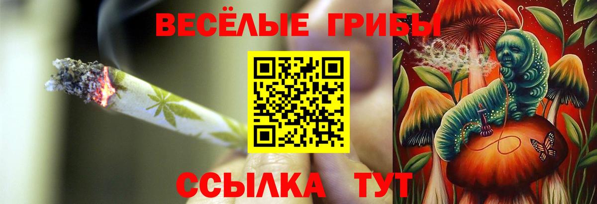 Псилоцибиновые грибы MAGIC MUSHROOMS Коряжма